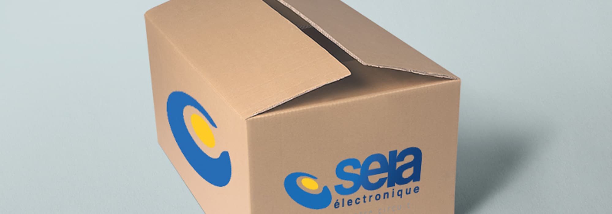SEIA – solutions électroniques industrielles en France et en Espagne - Vente et rachat